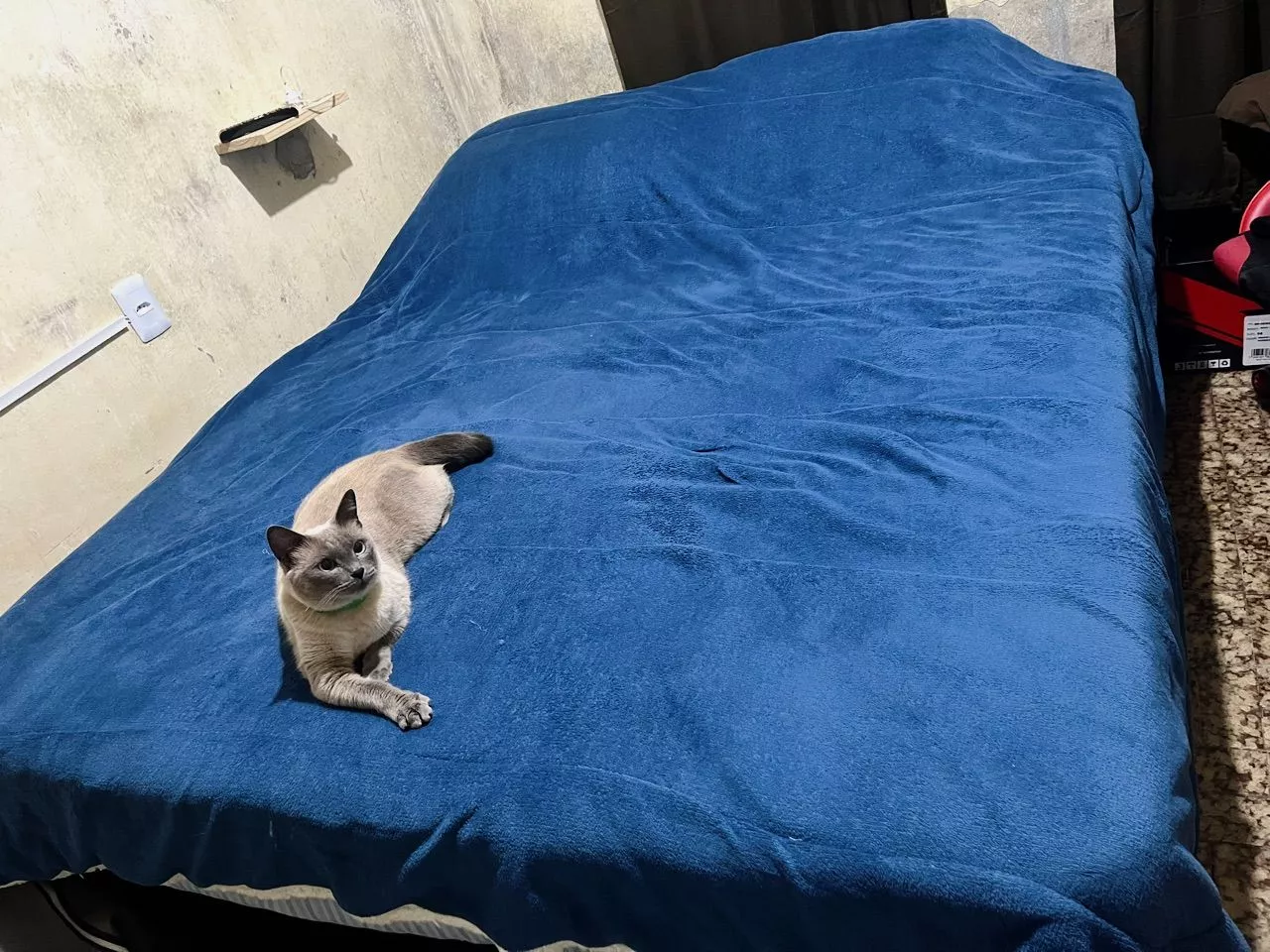 Foto da avaliação